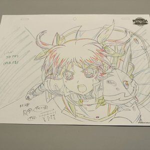 Magical Girl Lyrical Nanoha: Reflection Art Print Loot Anime Crate Exclusive